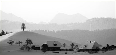 Emmental